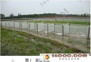 生殖激素对黑斑蛙繁殖的影响