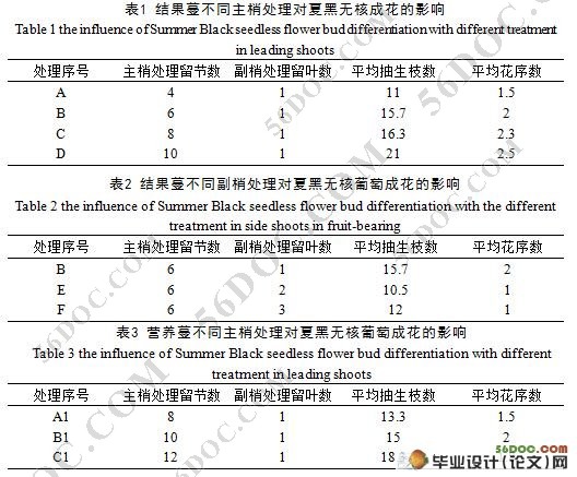 夏季修剪对夏黑无核葡萄花芽形成与产量的影响