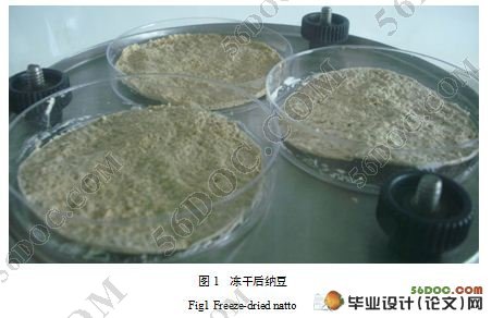 纳豆胶囊加工过程中纳豆激酶的变化研究