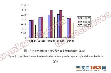 不同水分处理对天优华占杂交稻生长及产量的影响