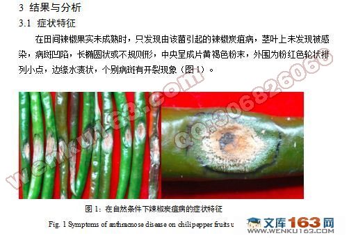 辣椒上一种入境潜在危险性真菌尖孢炭疽菌的鉴定