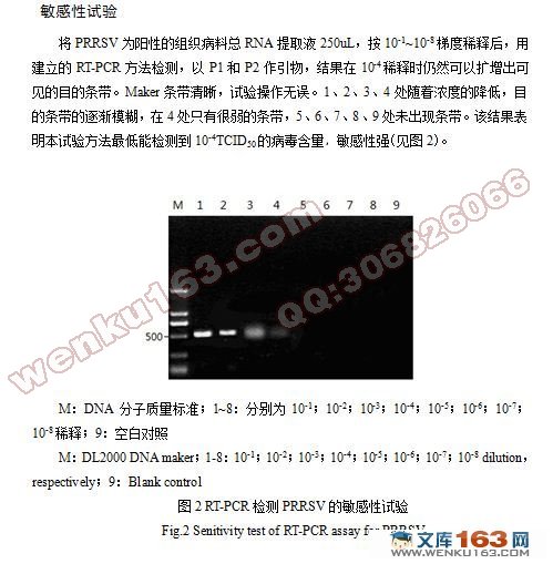 RT-PCR(