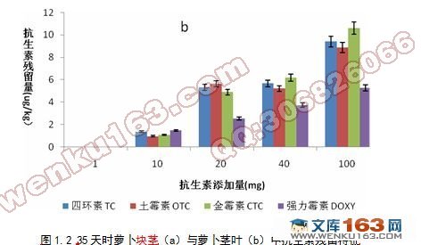 四环素类抗生素在白萝卜中的迁移累积规律研究